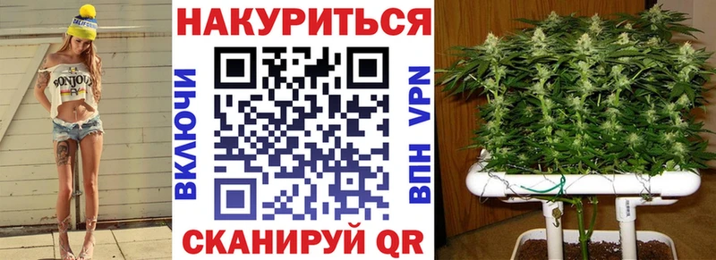 Конопля гибрид  Барыш 